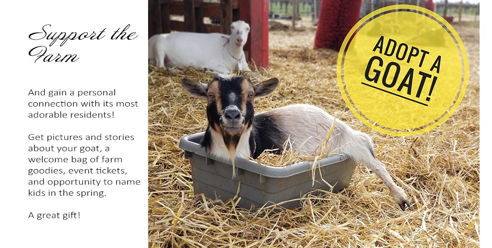 Spenker Winery - Products - Sponsor a Goat